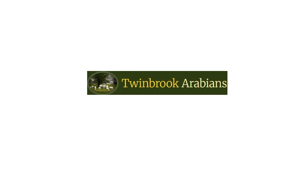 twinbrookarabians